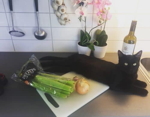 Svart katt, min Finkel, på en skärbräda i köket