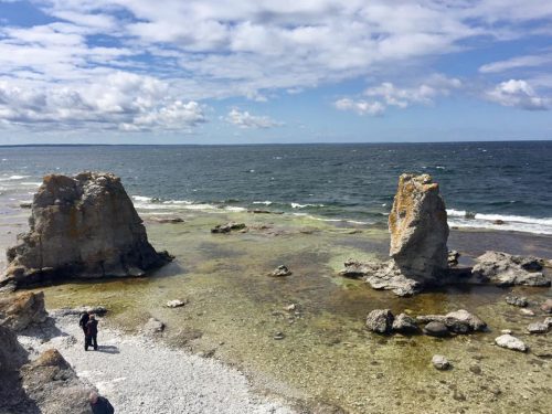 Raukar på Gotland
