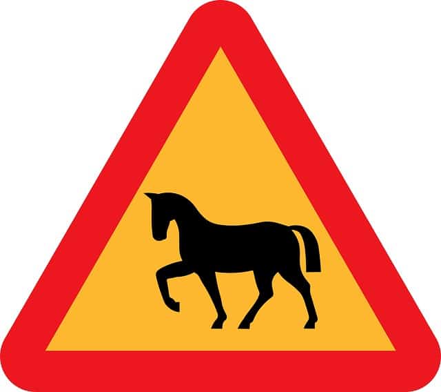 Vägmärke, varning för häst
