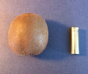 Kiwi och patronhylsa till ammunition