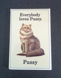 kylskåpsmagnet med en katt och texten everybody loves pussy