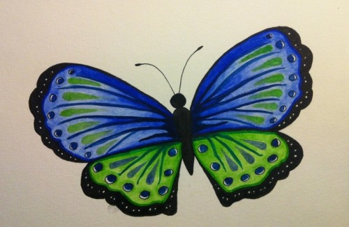 Fjäril i akvarell, blå och grön