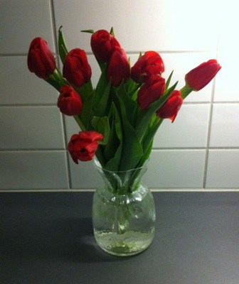 Blommor, en bukett röda tulpaner