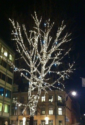 Träd i stan med vackert pynt, ljusslingor. Firade in ledigheten! Promenad i jul.