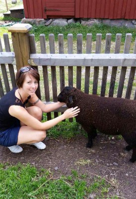 Arga Klara klappar ett får på en 4H-gård