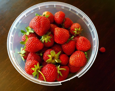 Nyplockade jordgubbar och ett smultron