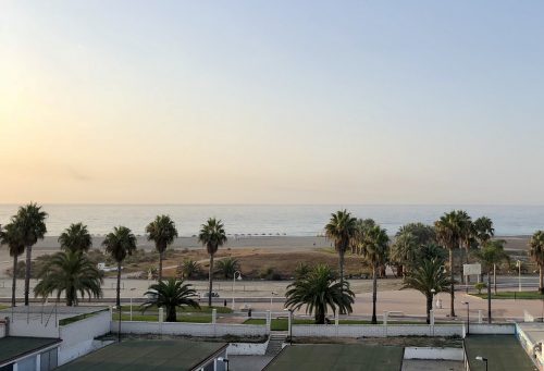 Utsikt över Medelhavet med palmer en tidig morgon i Spanien